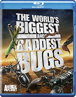 KH135 - Document - Worlds Biggest And Baddest Bugs 2009 (4.4G)